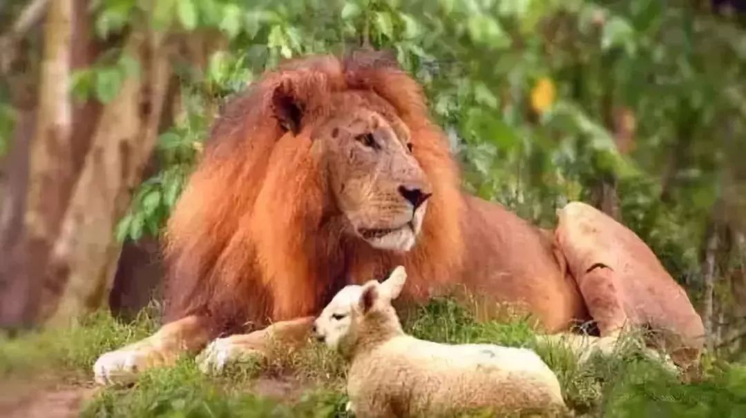 ‘火狐电竞官方网站’纯碱准入控制产能过剩(图2) 火狐电竞官网