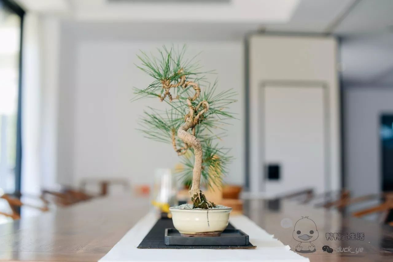 火狐电竞-(04月09日)治霾先治散烧煤和柴油机(图2) 火狐电竞