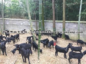 【火狐电竞官方网站】(12月01日)成品油价格迎年内第八次上调每升涨价1毛5(图3) 火狐电竞官网