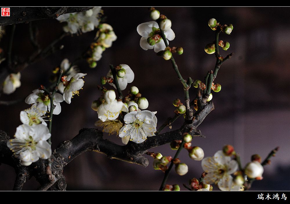 火狐电竞官方网站