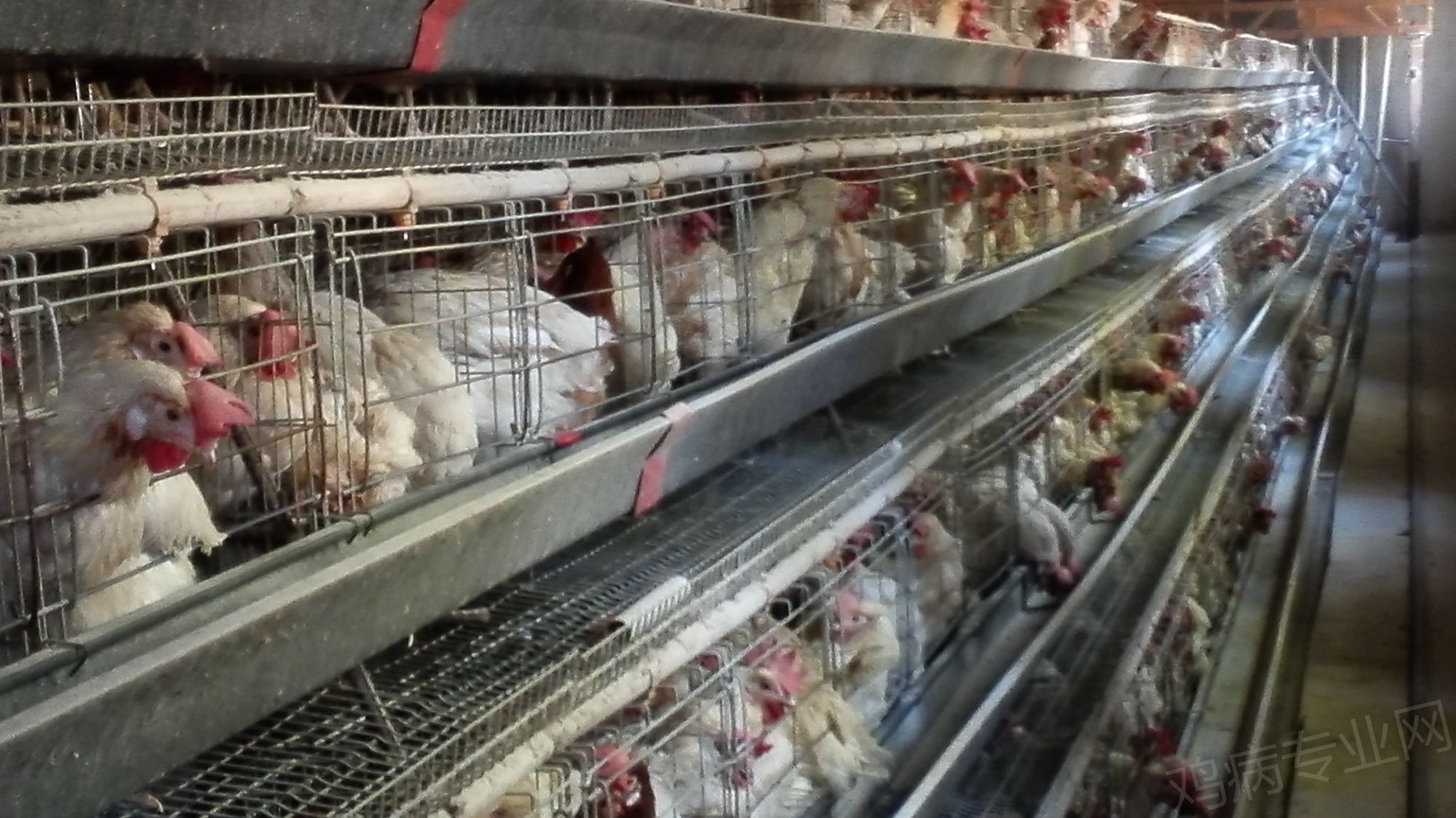 火狐电竞-(04月14日)酿“煤”成“酒”清洁能源示范全球(图1) 火狐电竞官网