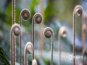 火狐电竞官方网站-(09月12日)甲醇基本面最差时段即将来临(图1) 火狐电竞官网